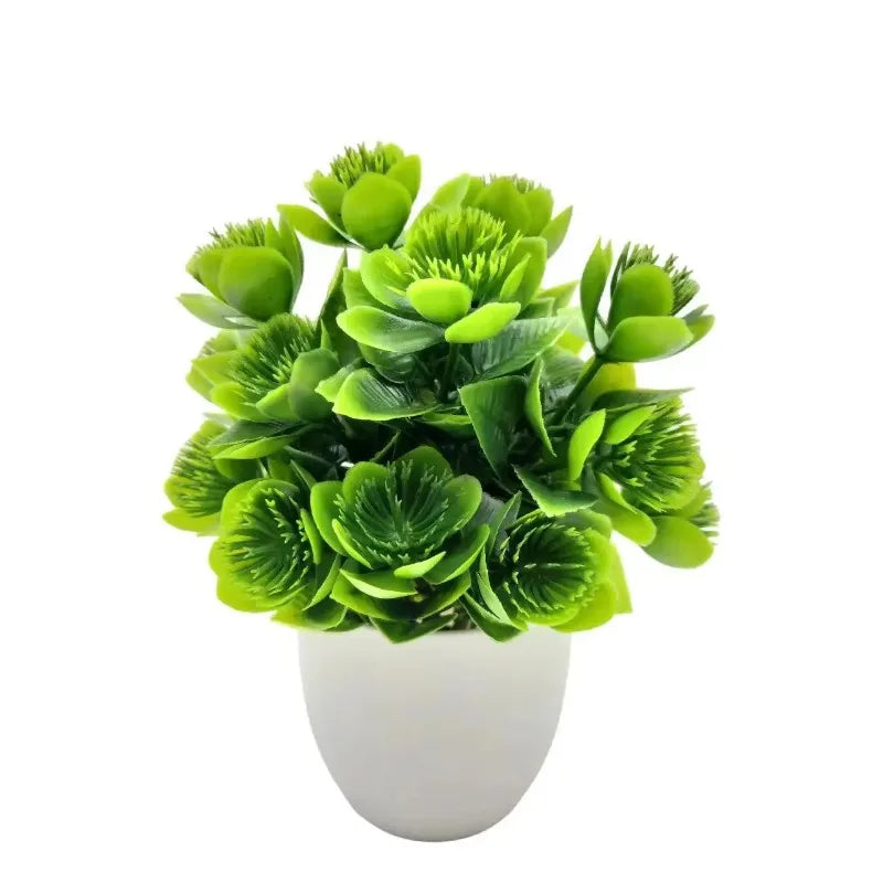 Planta Decorativa EverGreen