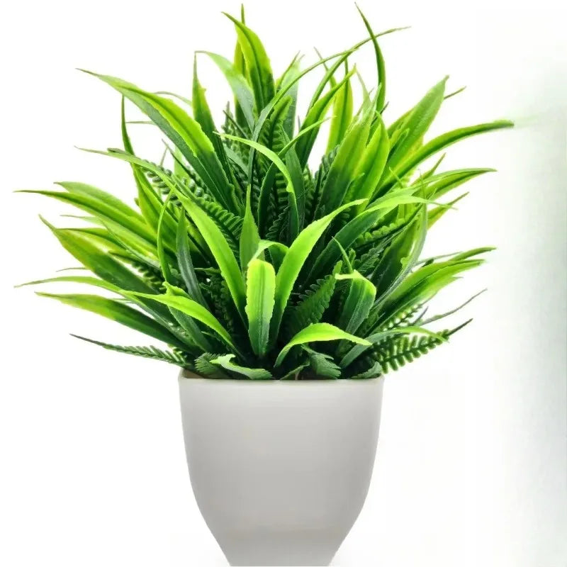 Planta Decorativa EverGreen