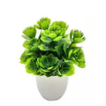 Planta Decorativa EverGreen