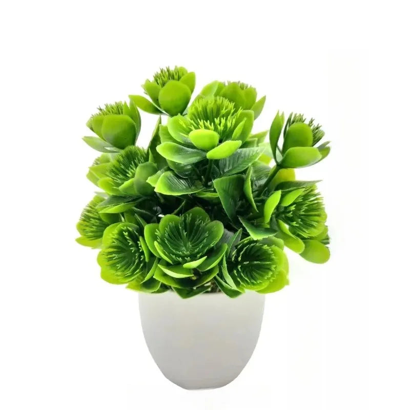 Planta Decorativa EverGreen