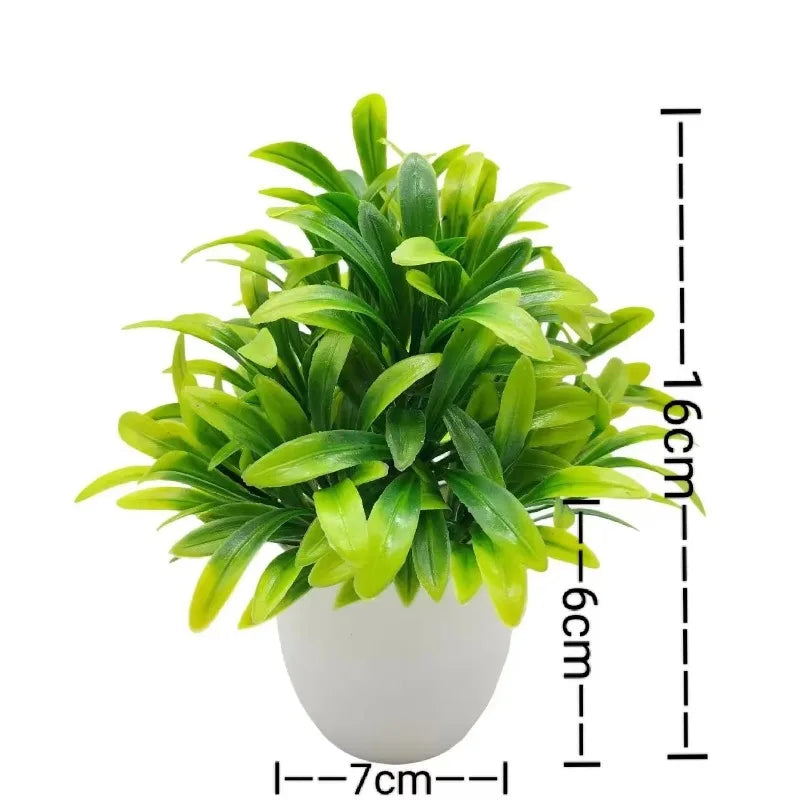 Planta Decorativa EverGreen