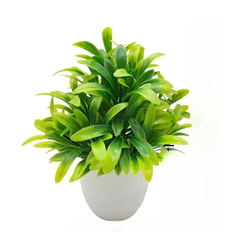 Planta Decorativa EverGreen