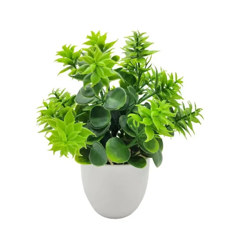 Planta Decorativa EverGreen