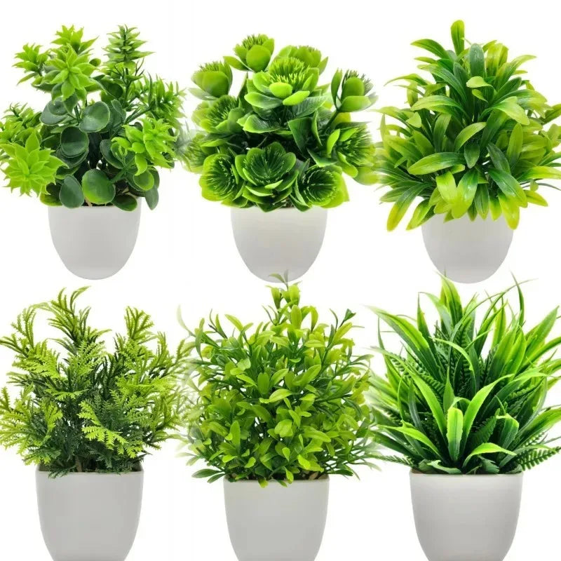 Planta Decorativa EverGreen