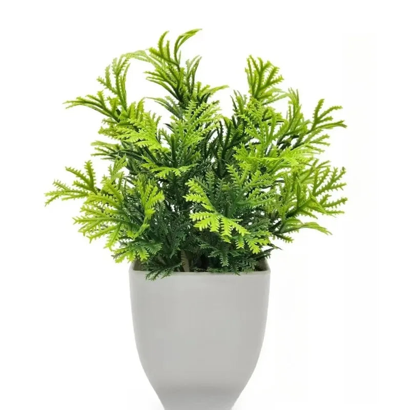 Planta Decorativa EverGreen