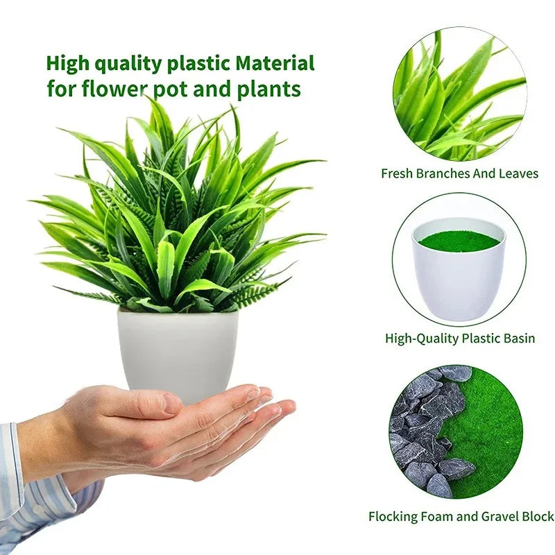 Planta Decorativa EverGreen