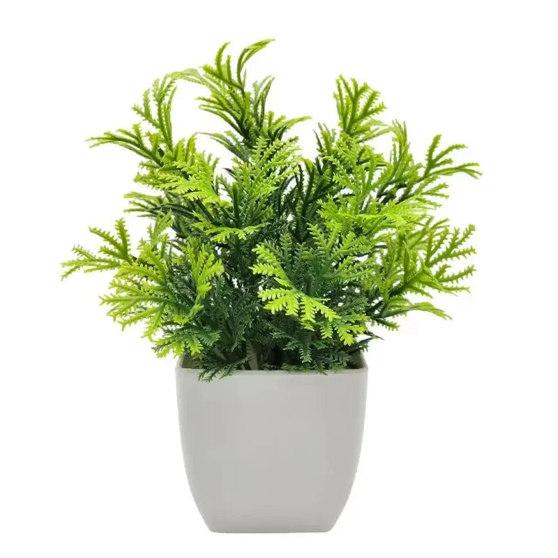 Planta Decorativa EverGreen